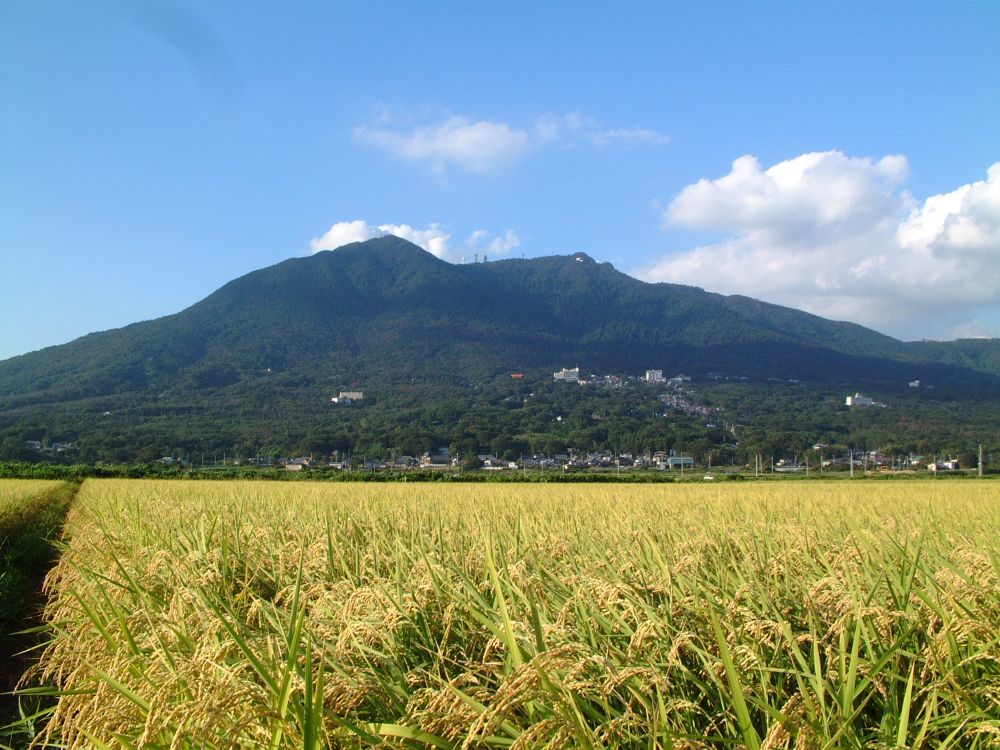 南部地区文化協会　視察研修旅行